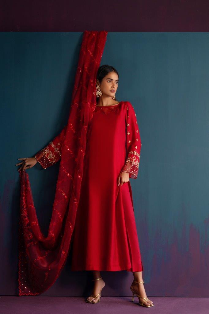 Anam Akhlaq | Festive Collection | D-46 - House of Zarish