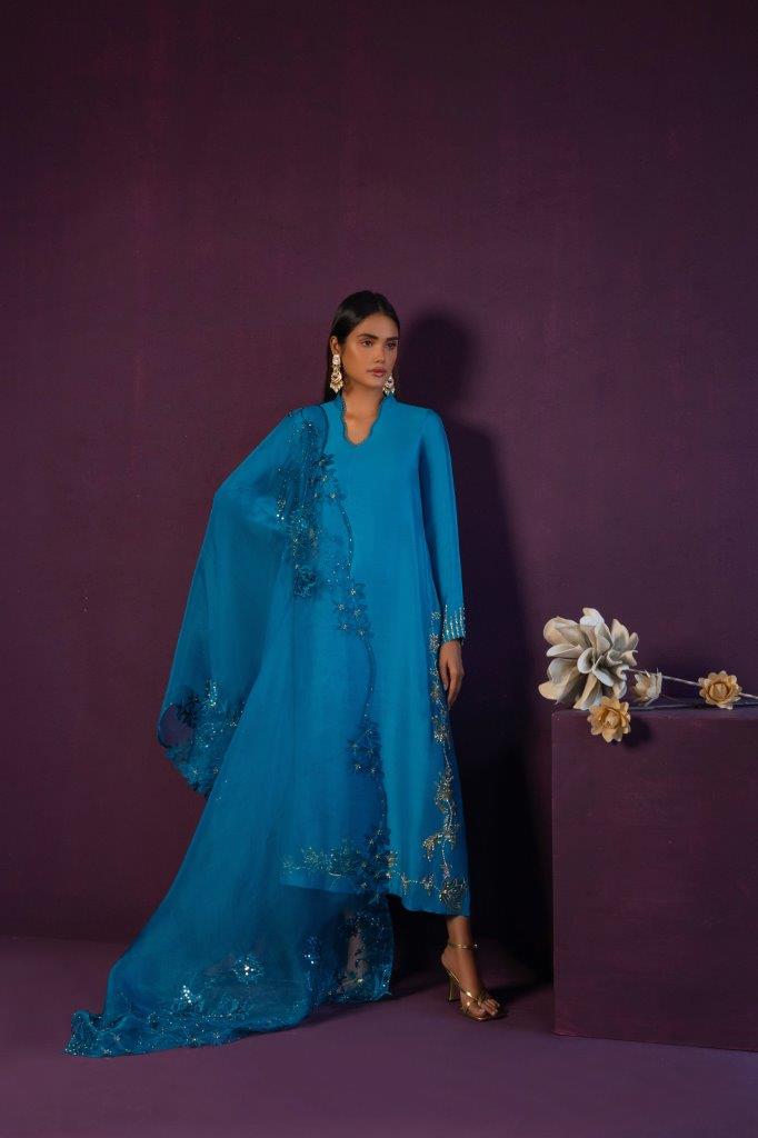 Anam Akhlaq | Festive Collection | D-45 - House of Zarish