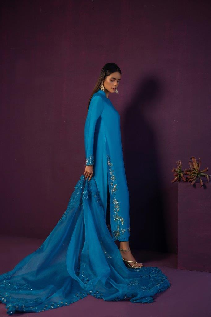 Anam Akhlaq | Festive Collection | D-45 - House of Zarish