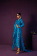 Anam Akhlaq | Festive Collection | D-45 - House of Zarish