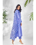 Anam Akhlaq | Festive Collection | D-21 - House of Zarish
