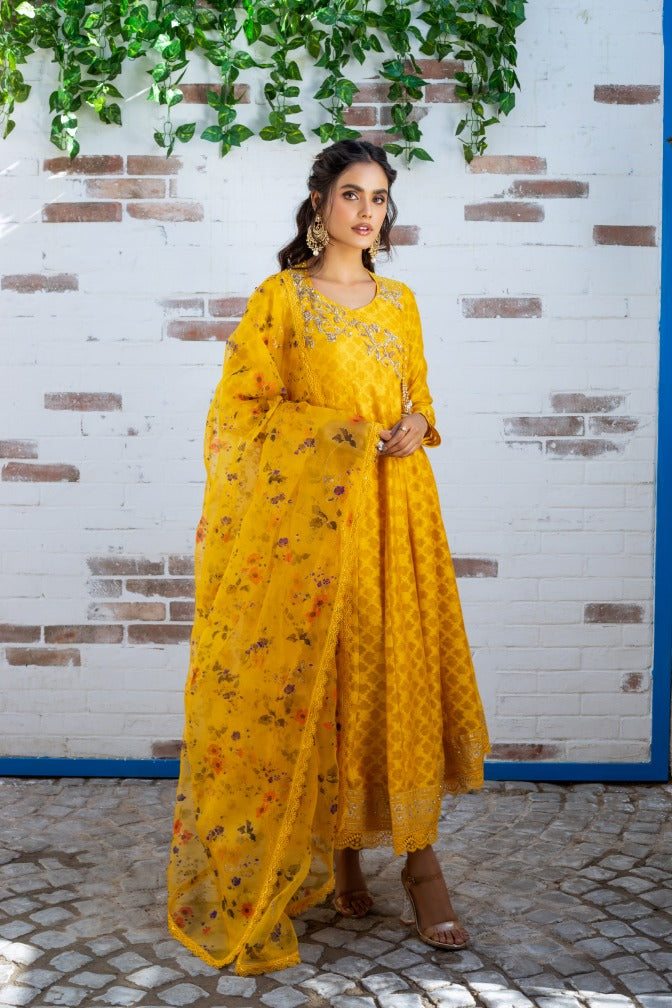 Anam Akhlaq | Festive Collection | D-12 - House of Zarish