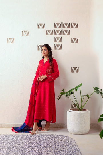 Anam Akhlaq | Festive Collection | D-13 - House of Zarish