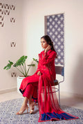 Anam Akhlaq | Festive Collection | D-13 - House of Zarish