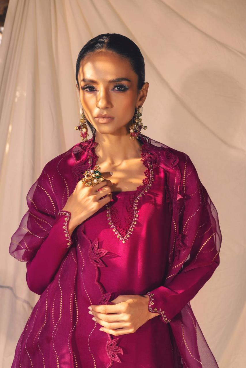 Anam Akhlaq | Festive Collection | D-53 - House of Zarish
