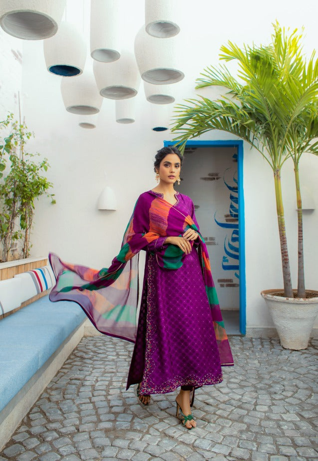 Anam Akhlaq | Festive Collection | D-14 - House of Zarish