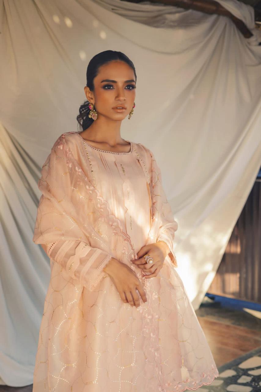Anam Akhlaq | Festive Collection | D-49 - House of Zarish