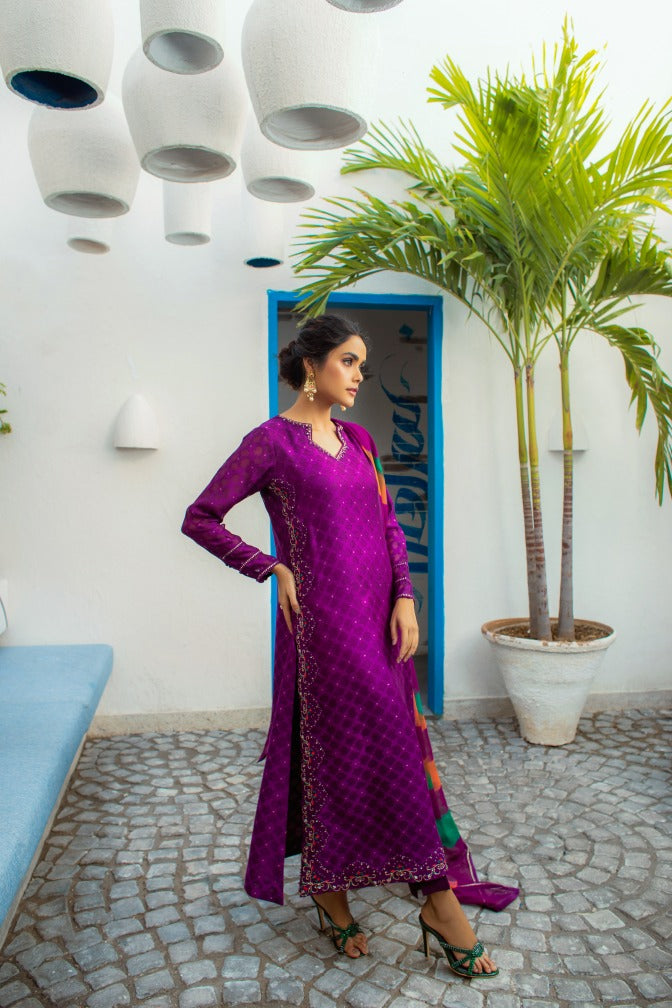 Anam Akhlaq | Festive Collection | D-14 - House of Zarish