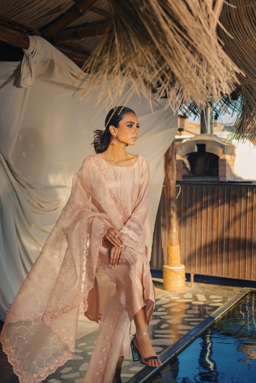 Anam Akhlaq | Festive Collection | D-49 - House of Zarish