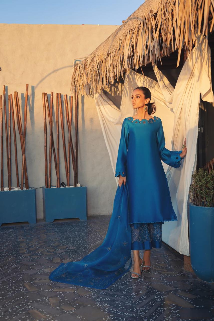 Anam Akhlaq | Festive Collection | D-50 - House of Zarish