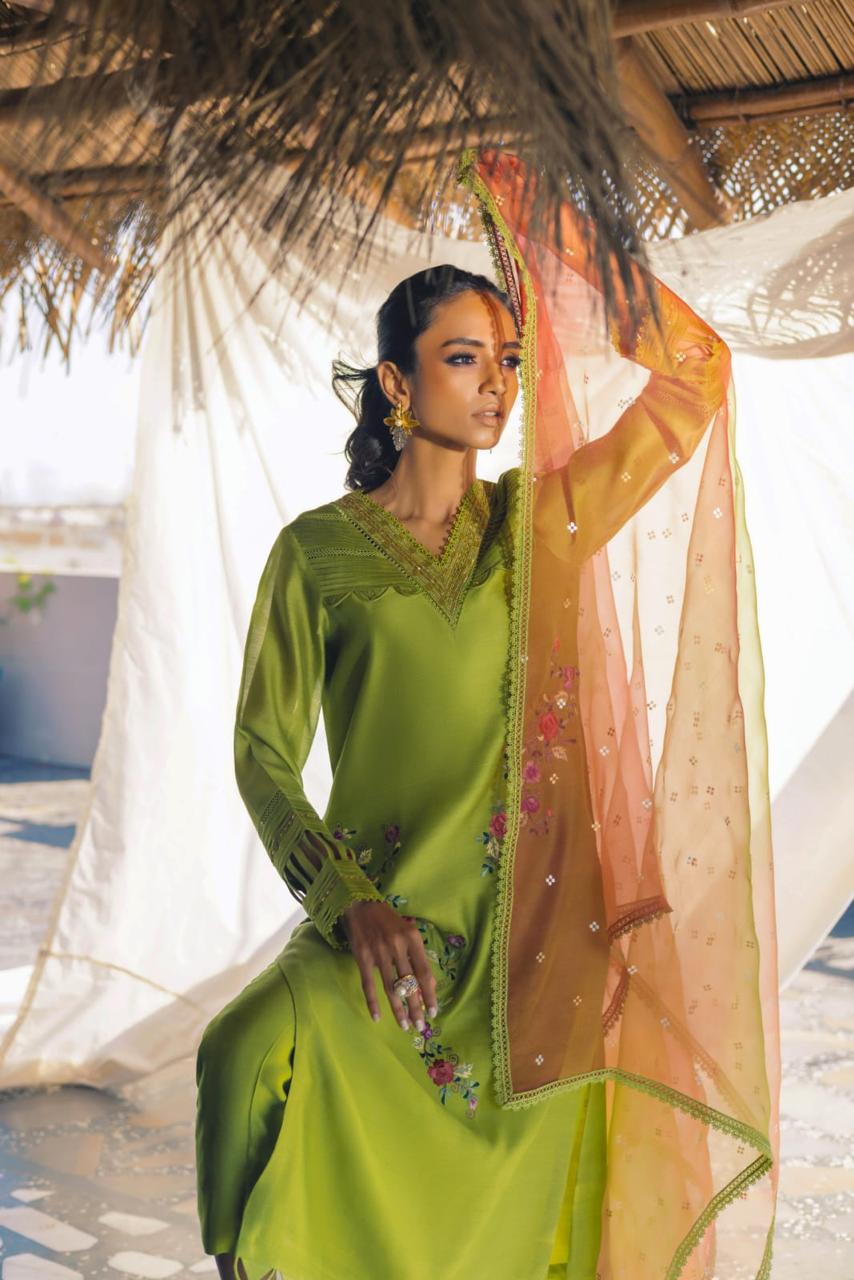 Anam Akhlaq | Festive Collection | D-51 - House of Zarish