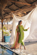Anam Akhlaq | Festive Collection | D-51 - House of Zarish