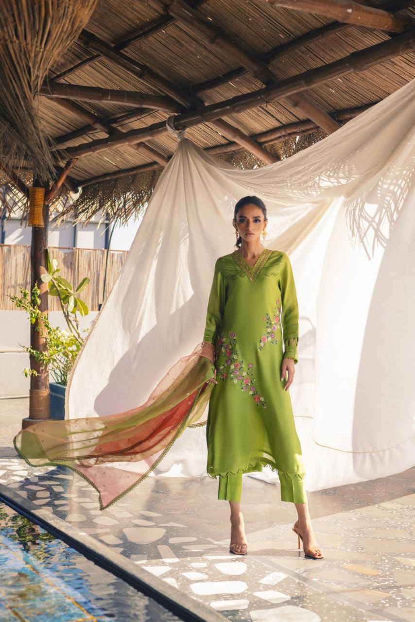 Anam Akhlaq | Festive Collection | D-51 - House of Zarish