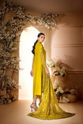 Anam Akhlaq | Festive Collection | D-34 - House of Zarish