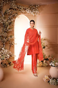 Anam Akhlaq | Festive Collection | D-33 - House of Zarish