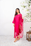 Anam Akhlaq | Festive Collection | D-16 - House of Zarish