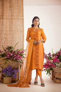 Anam Akhlaq | Festive Collection | D-39 - House of Zarish