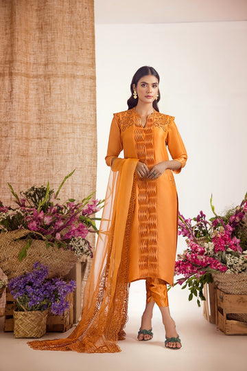 Anam Akhlaq | Festive Collection | D-39 - House of Zarish