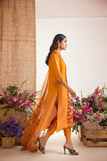 Anam Akhlaq | Festive Collection | D-39 - House of Zarish