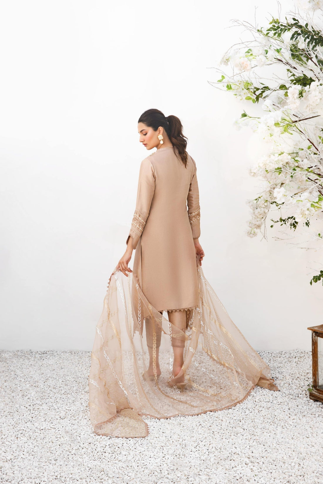 Anam Akhlaq | Festive Collection | D-18 - House of Zarish