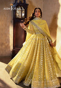 Asim Jofa | Bekhudi Wedding Formals | AJKB-12