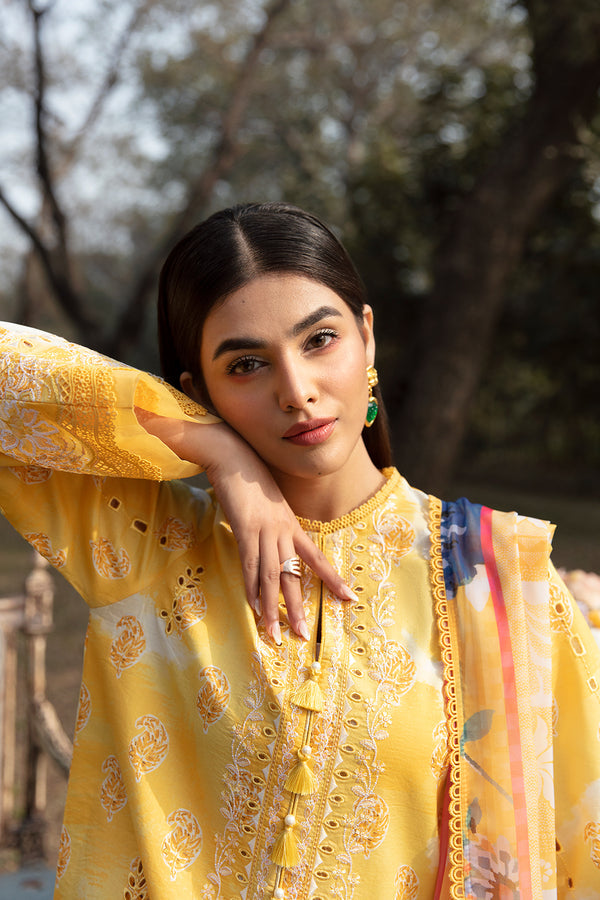 Afrozeh | Ayzel Summer Dream | DAFFODIL - House Of Anaya