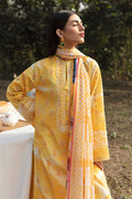 Afrozeh | Ayzel Summer Dream | DAFFODIL - House Of Anaya