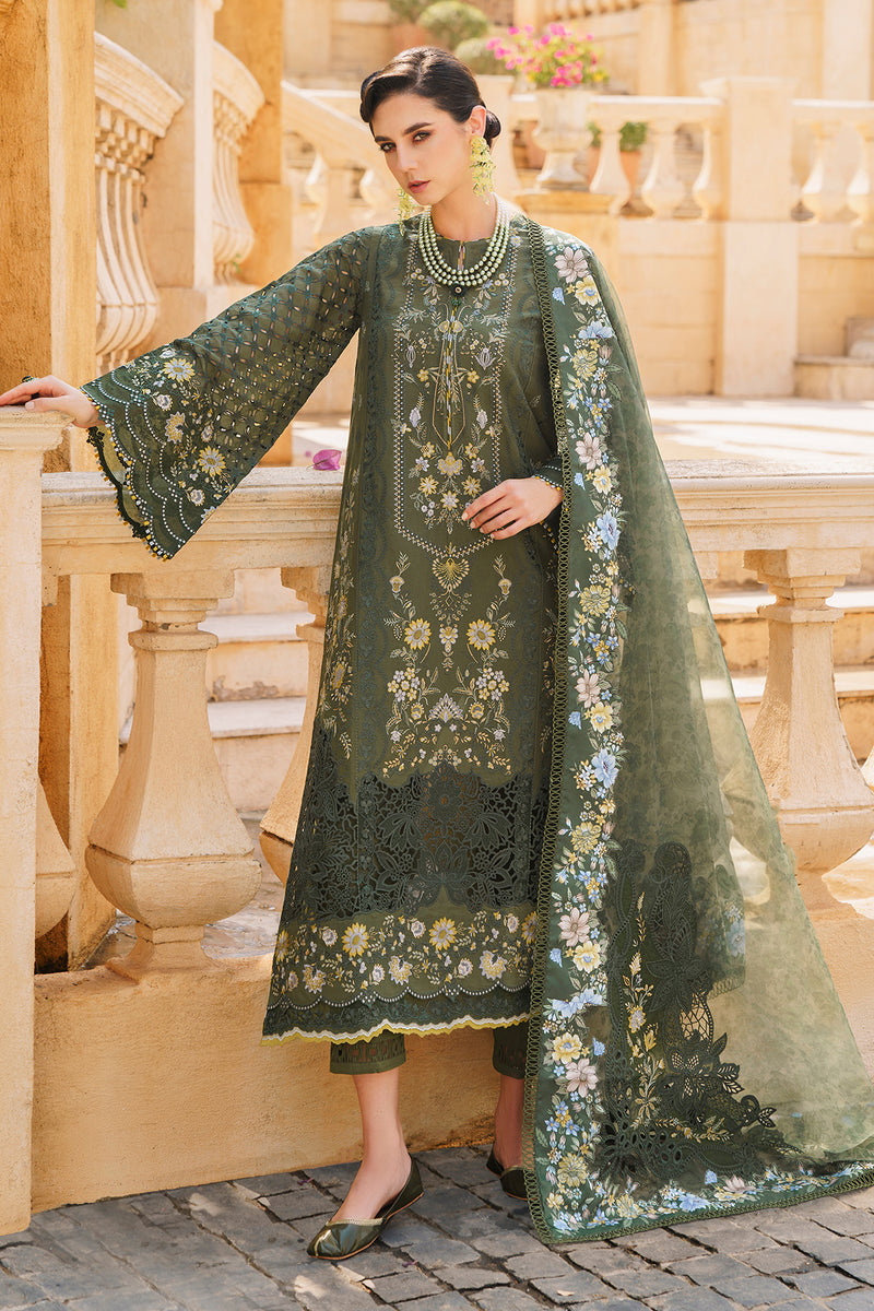 Baroque | Swiss Lawn 24 | SL12-D10 - House Of Anaya