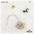 Bindiya-0064 - House Of Zarish