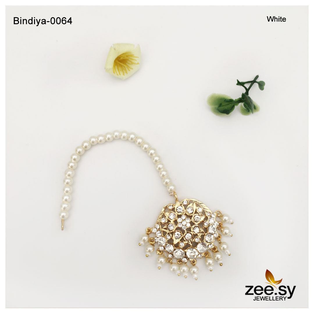 Bindiya-0064 - House Of Zarish