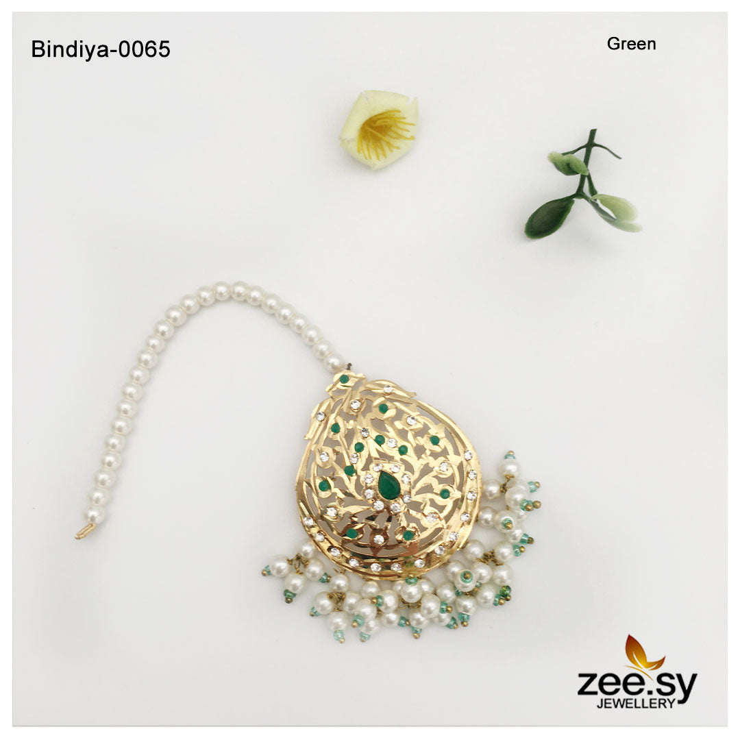 Bindiya-0065 - House Of Zarish