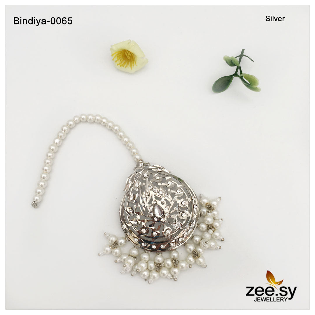 Bindiya-0065 - House Of Zarish