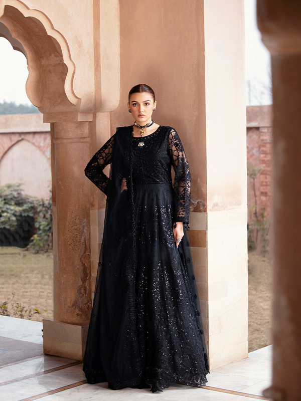 Zebtan | Zeenat Collection Vol 19 | ZN-10 - House of Zarish