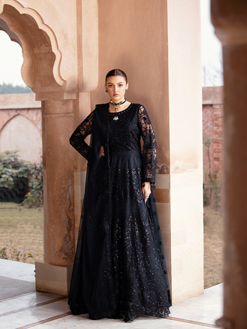 Zebtan | Zeenat Collection Vol 19 | ZN-10 - House of Zarish