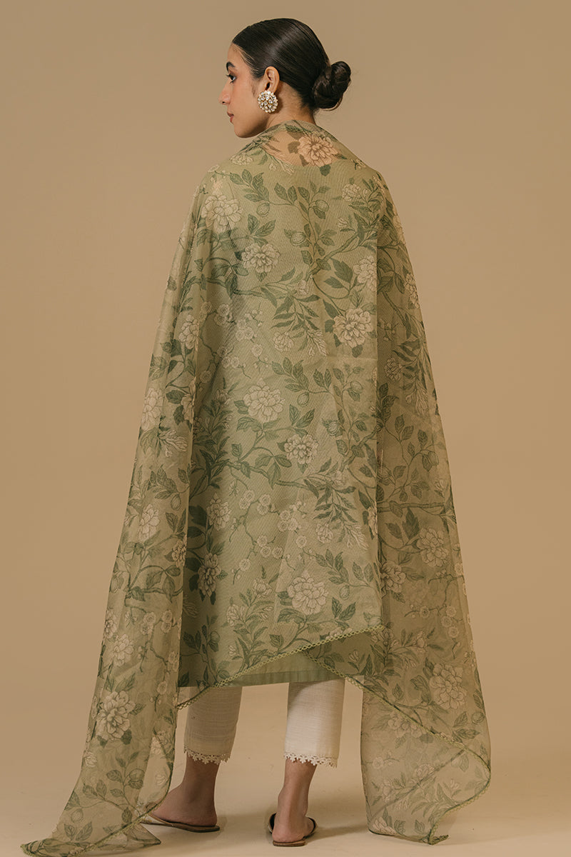 Cross Stitch | Eid Collection | OLIVE VISTA - House Of Anaya