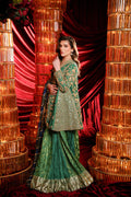 Sable V | Laal Bagh Bridal Luxury Formals | SLB-2061