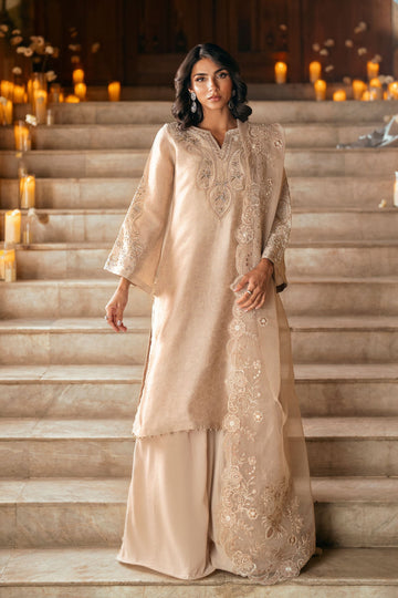 Dhanak | Luxury Pret | FW25DL-0349