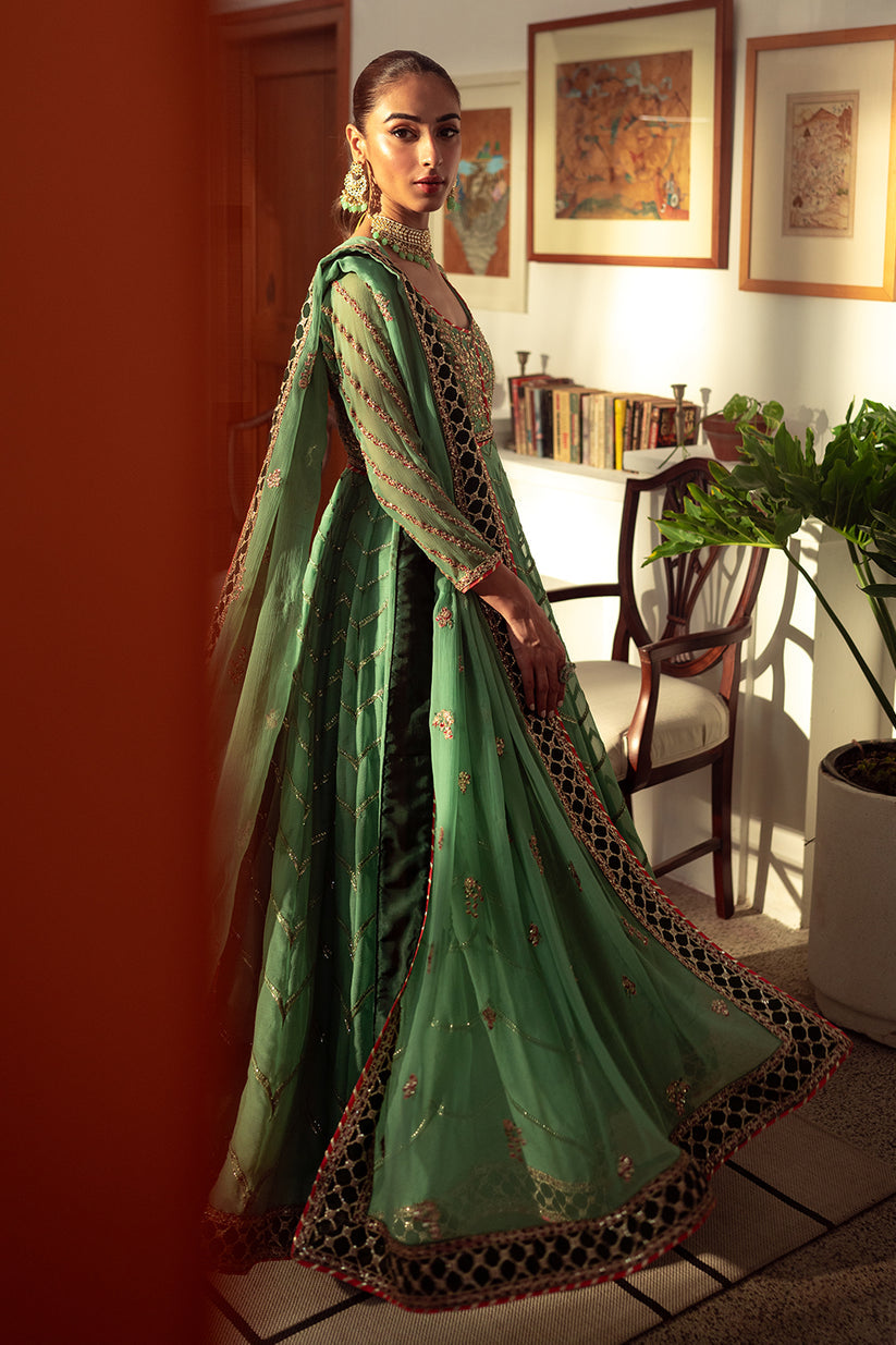 Neeshay | Dastaan Luxury Chiffon | Noreen - House Of Anaya