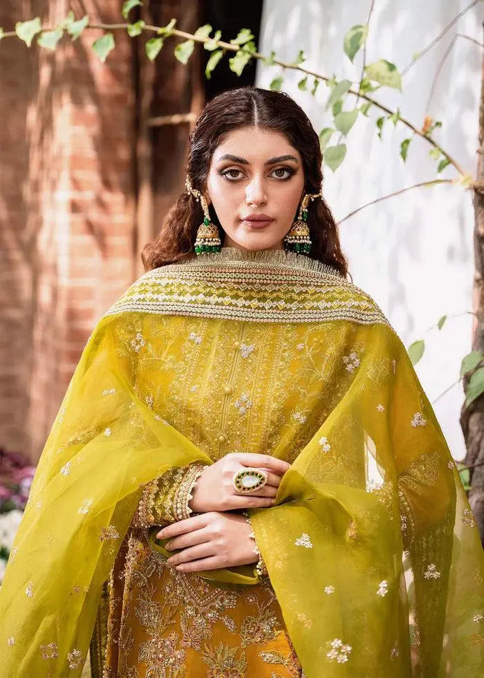 ROHI-AKBAR ASLAM - House Of Anaya