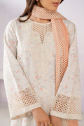 Xenia Formals | Lessence Summer 26 | CORAYA