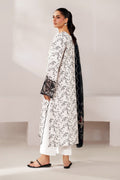 Xenia Formals | Lessence Summer 26 | TIA