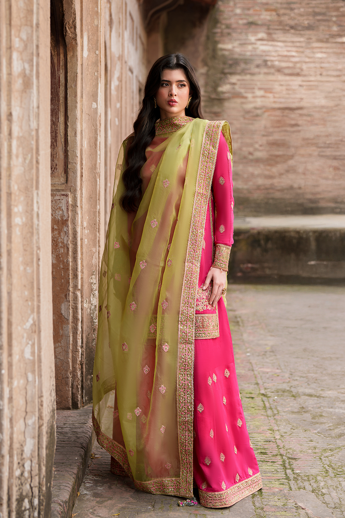 Saad Shaikh | Zaria Festive Pret 25 | CELESTE