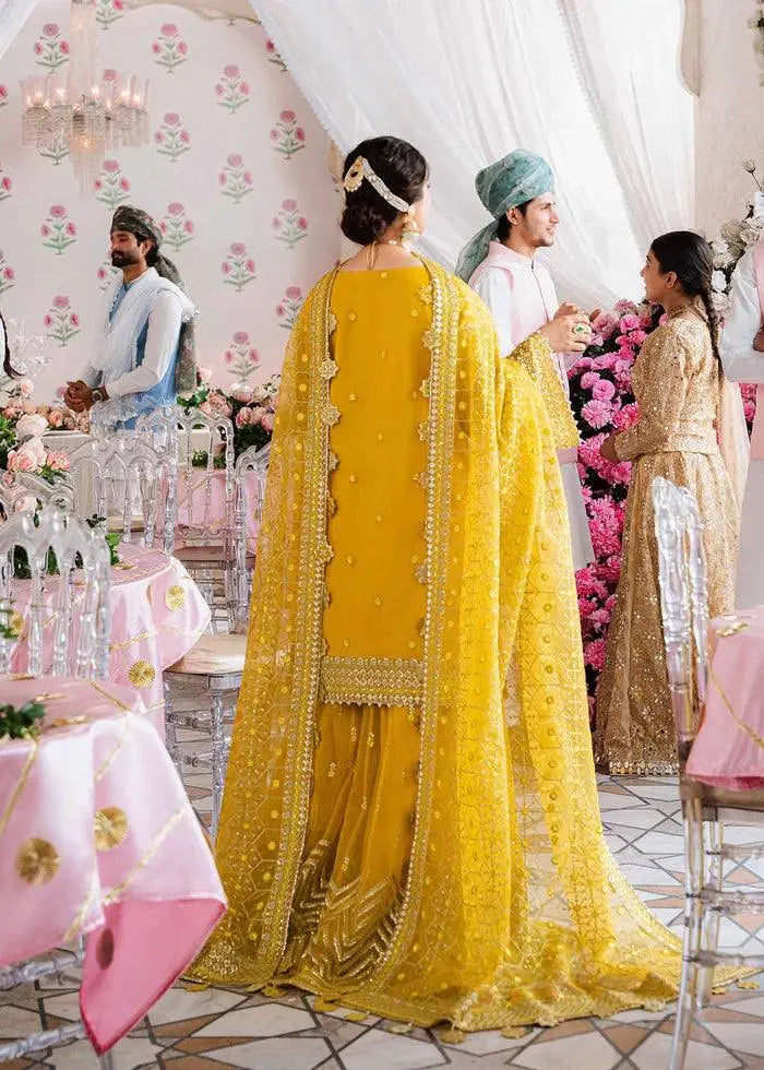MEENA-AKBAR ASLAM - House Of Anaya