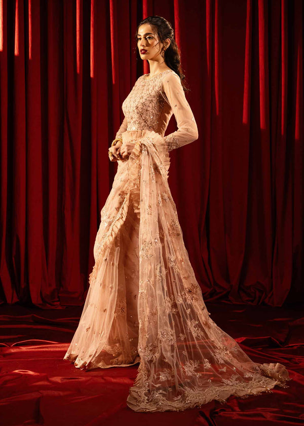 Paras by Pasha | Noor -e- Jahan Saree Collection | Shab-e-Gulabi