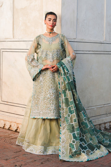 Raeesa Premium | Zauj Formals 25 | AAK - 06