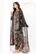 Ramsha | Minhal Organza Collection | M-803 - House Of Anaya