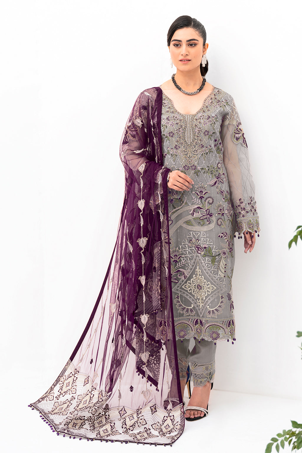 Ramsha | Minhal Organza Collection | M-801 - House Of Anaya