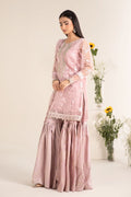 Maria B | Casual Pret 25 | DW-EF25-17 - House of Zarish