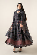 Maria B | Luxury Pret Winter 25 | DW-W25-21