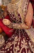 Zarin by Eleshia Embroidered Net 3Pc Suit D-10 Avyanna - House Of Anaya